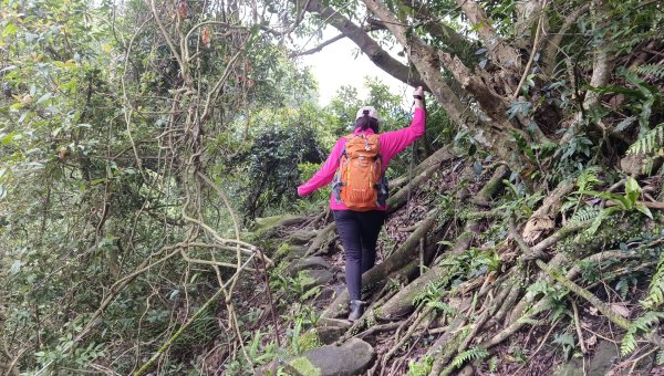 (姨婆趴趴走)第四十七集:新北土城大暖坑山等諸峰攀登連走2738771