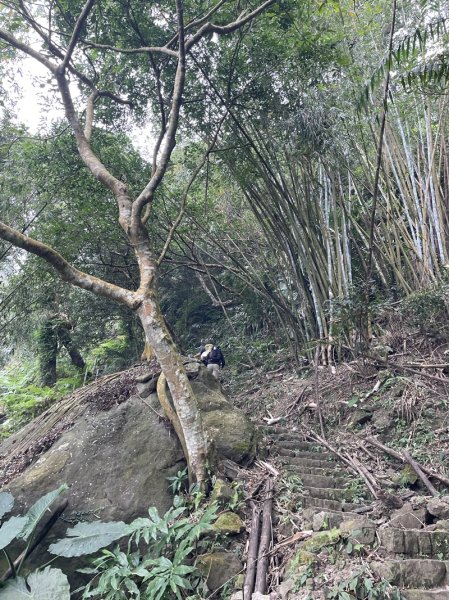 崁頭山&竹子尖山2964373