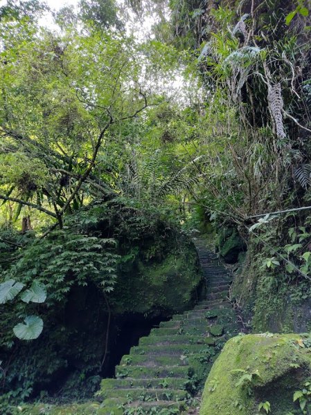 2022 3/9 孝子山登山步道1636946