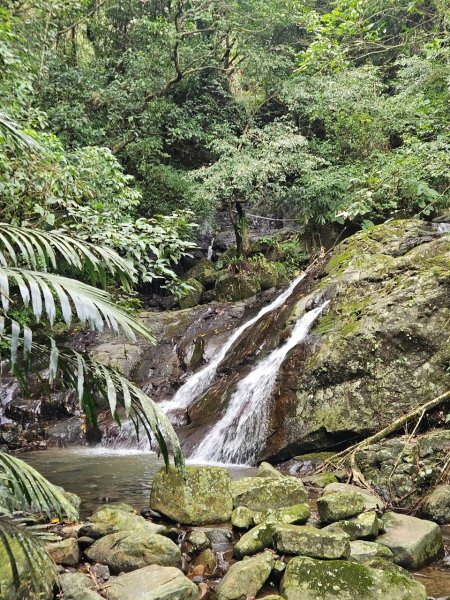 20250201貢大縱走(大石壁坑山主北峰-五酒桶山-龍崗山-吾居吾墅步道)2703723