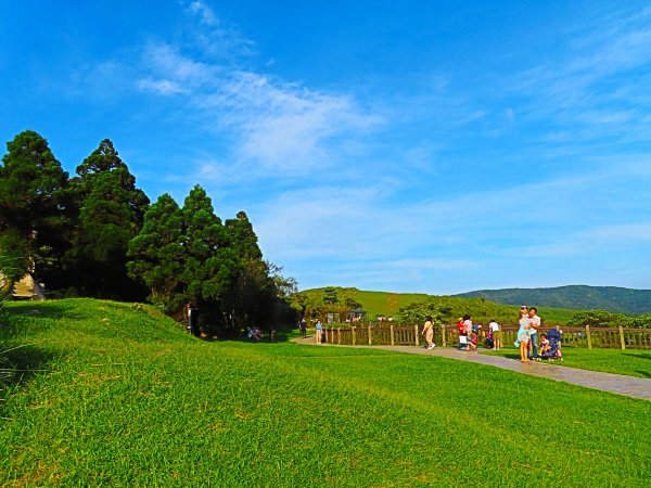 夏觀碧草如茵：頂山石梯嶺步道648363