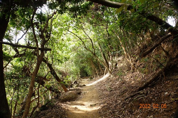 高雄 美濃 靈山1604876