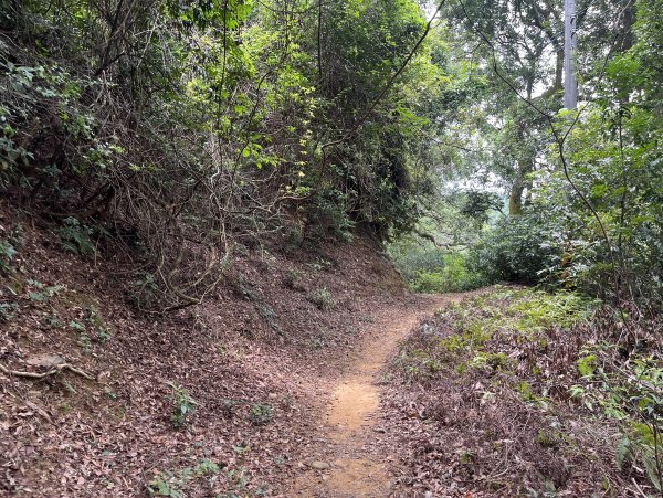 [皮皮獅探險隊-04/10] 2025_0706 三段崎古道2831753