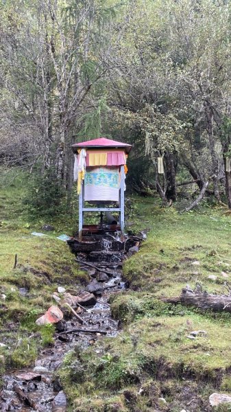 川藏33天深度之旅💙#稻城亞丁-來古冰川2902399