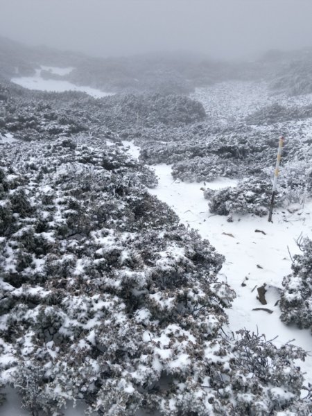 百岳:玉山南峰_雪季1575120