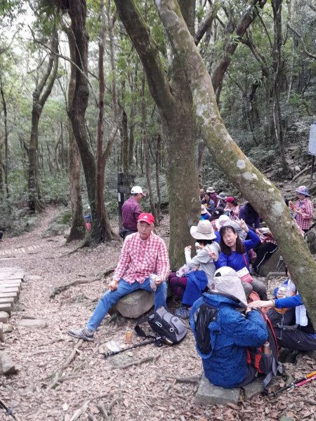 【桃園-臺灣百大必訪步道】東滿步道1283044