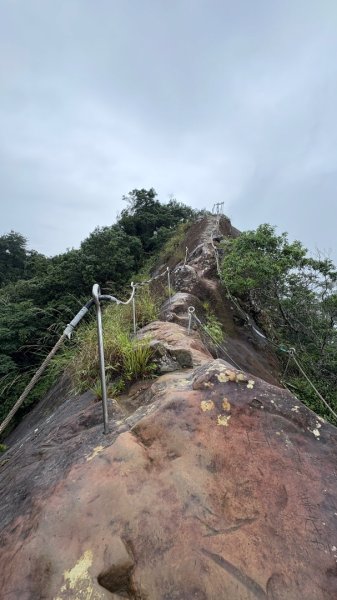 大雨後🙄2845496
