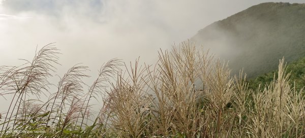 小觀音山西峰夕陽/霞光/觀音圈/日月爭輝/芒花/黑金剛 9/242293103