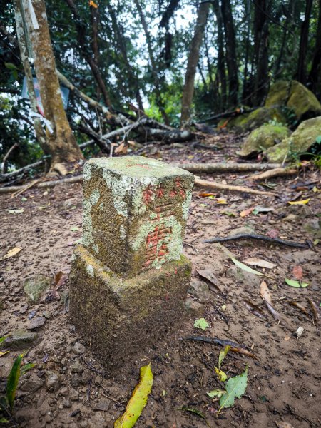 2025-03-08 汶水三山：金童山、汶水山、玉女山 連走2736531