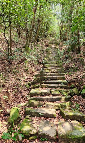 抹茶山，聖母登山步道，隆隆山，福卯古道，水柳腳登山步道，觀音台步道，北勢溪自行車道2112017