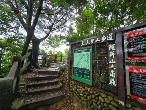 台中大坑頭嵙山（大冠鷲／木蜂／五色鳥／血藤花／鳳凰花）2785509