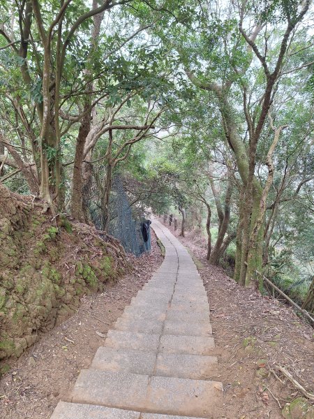 劍潭古道202503122734302