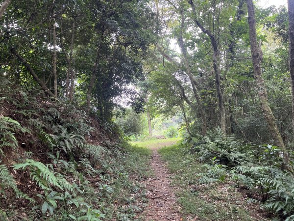 [皮皮獅Hike客任務-02/10] 2024_0720 渡南古道+飛鳳古道2557084