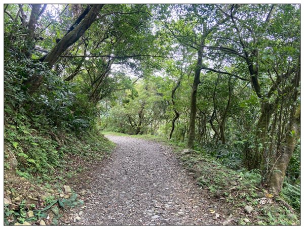 聖母峰、三角崙山 (抹茶山) 連走2802187
