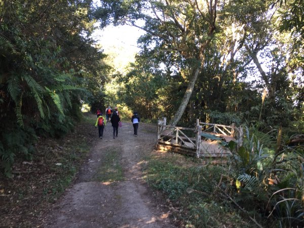 20210206高雄二集團山及櫻花公園1262855