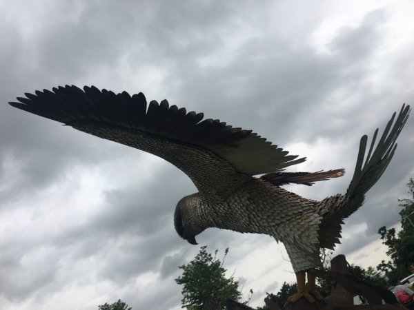 中庄調節池、娘子坑山、山豬湖自然生態公園、中庄吊橋2493129