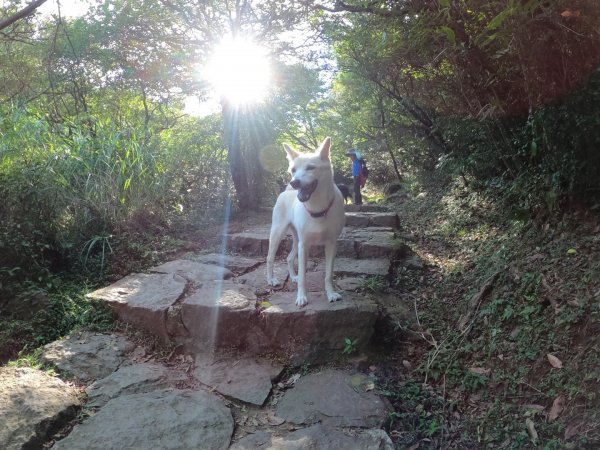 1090906家庭日，絹絲瀑布步道1093810