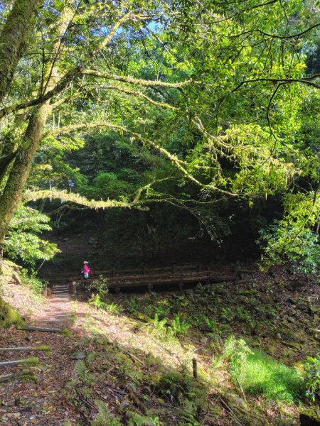 稍來小雪山國家步道、船型山、鞍馬山、鞍馬山東北峰、天池、雪山神木2799834