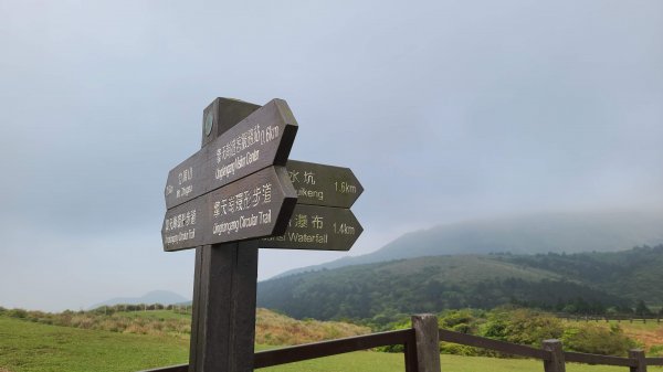 2021-0330 擎天崗(竹篙山)狗殷勤步道到故宮1327915