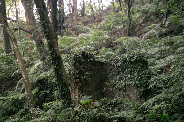 北港二坑-翠湖-內溝山-油桐嶺-老鷲尖山-老鷲尖南峰-學頭坡山 O型2232063