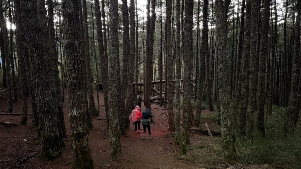 中央尖山 2025 11/7 三天兩夜2935743