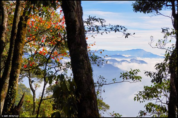 冷了天、紅了葉 ~ 一年一會、稍來賞楓765430