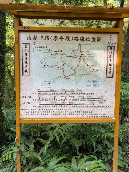 新北 雙溪 虎豹雙棲越野17K探路3068861
