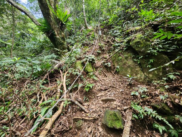火燒寮山熊空山竹坑山加九嶺O型2966275