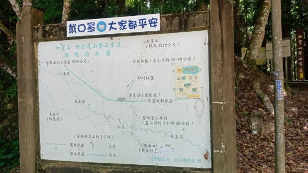 20220605 苗栗南庒神仙谷走走 及加里山鹿場登山口探路….1728140