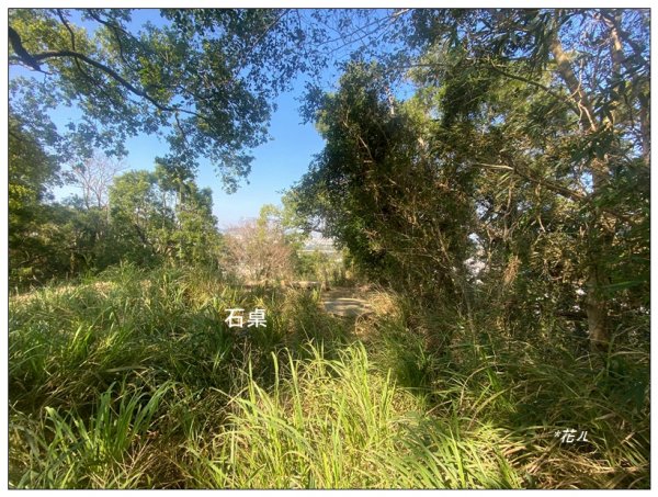 頭屋南山O型路線 (隘寮崠步道)2711209