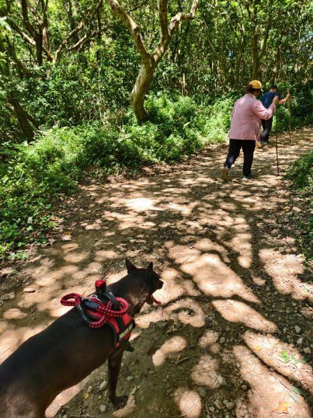 帶著毛孩去爬山-202508172866649