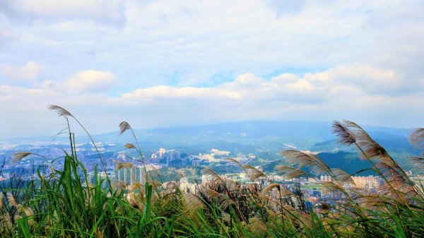 你若來汐止2961410