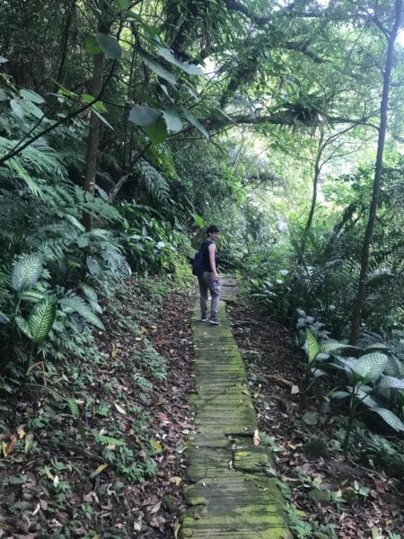 20190608新店獅頭山步道612425