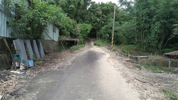 20250517 倒別牛-中坑山-飛鳳山 大O型2790388