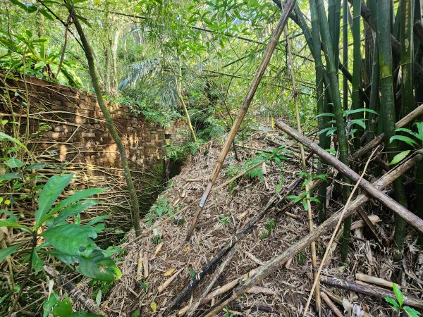 20250404雙十縱走失敗撤退改走蝙蝠山2892554