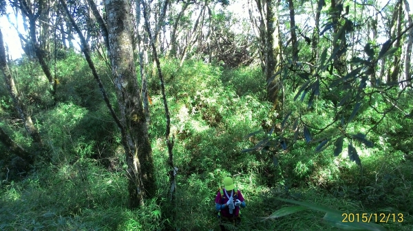 20151213尖石鄉屯野台山石麻達山28009