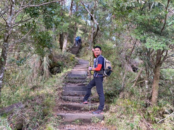 未完成的關山+庫哈諾辛山【山永遠都在 但冰封的山林不常在】2429395