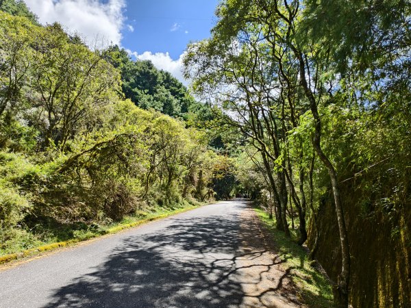 [玉山尋寶任務-09/12] 2025_0928 麟趾山步道2899870