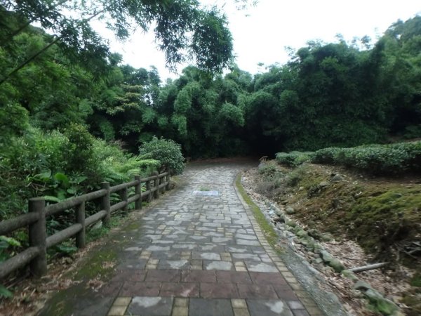 1070614茶山步道3099457