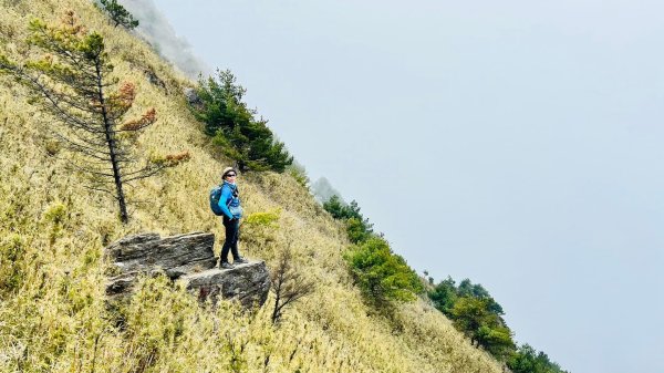 3/23-24兩天一夜的郡大山+獵人古道連走瓊山-上2463032