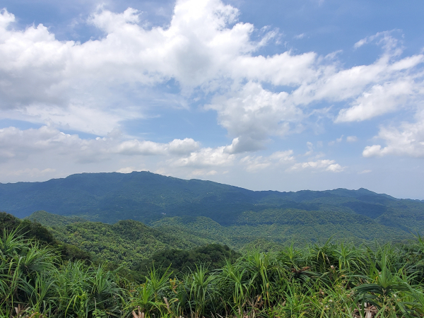 大華火車站，幼坑崙，內平林山，石龜將軍O走