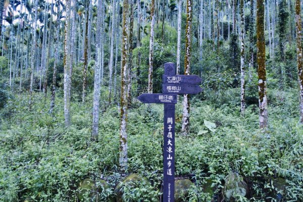 健行｜台南關子嶺大凍山1094147