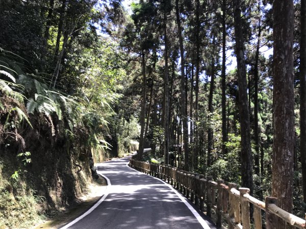 110年5月16日高雄   藤枝國家森林遊樂區1456981