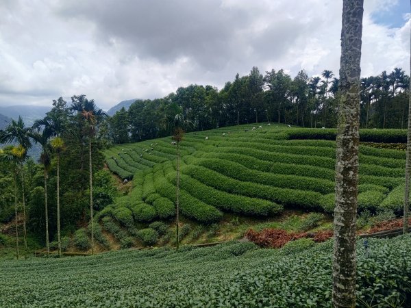 雲嘉十八連峰2589557