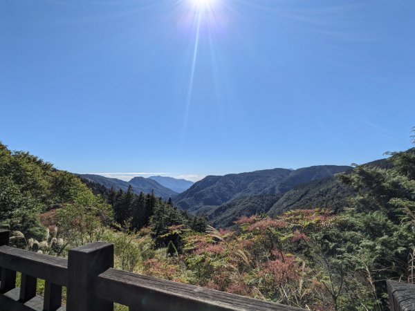 太平山國家森林遊樂區-蹦蹦車3137085
