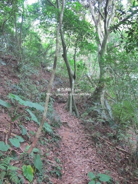 新竹峨眉~獅頭山 藤坪步道930515