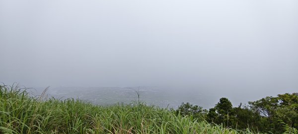 2026/04/24 鵲子山步道3043051