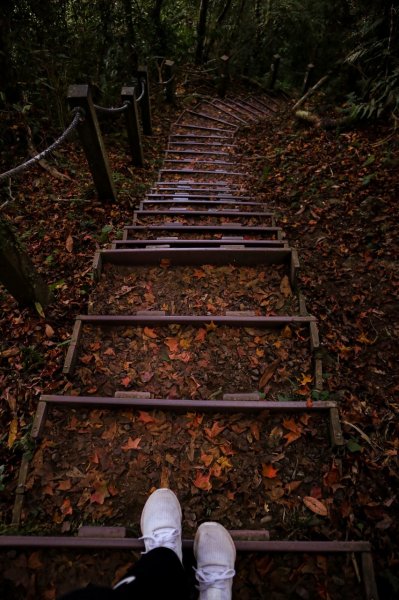 苗栗｜馬那邦山1214116