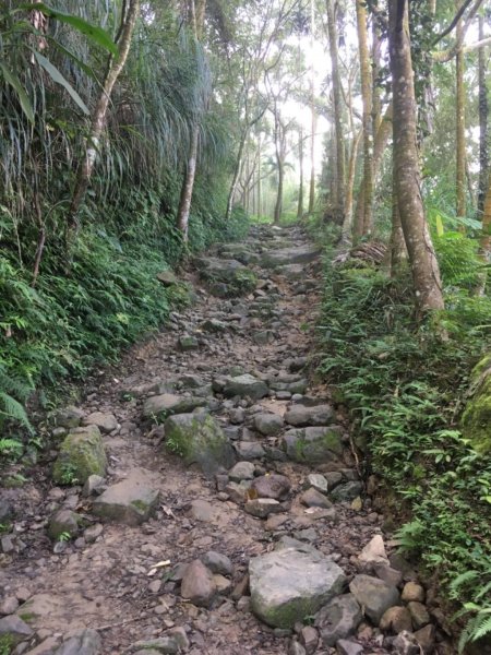 20181026-大凍山初登444942