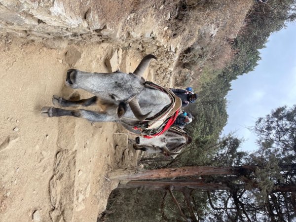尼泊爾聖母峰EBC基地營❤️風景篇2790972